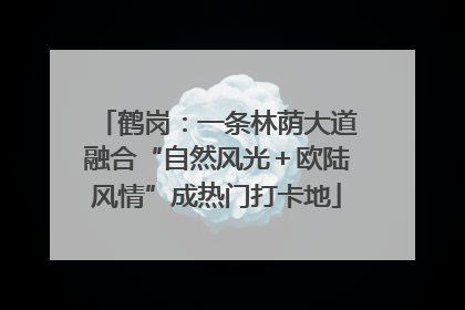 鹤岗：一条林荫大道融合“自然风光＋欧陆风情”成热门打卡地