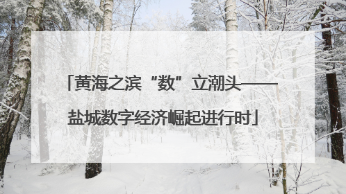 黄海之滨“数”立潮头——盐城数字经济崛起进行时