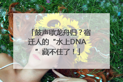 鼓声歇龙舟归？宿迁人的“水上DNA”藏不住了！