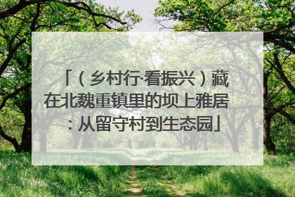 （乡村行·看振兴）藏在北魏重镇里的坝上雅居：从留守村到生态园
