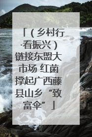 （乡村行·看振兴）链接东盟大市场 红菌撑起广西藤县山乡“致富伞”