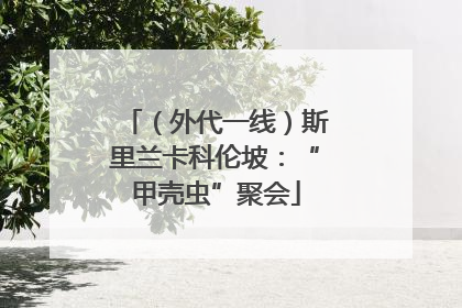 （外代一线）斯里兰卡科伦坡：“甲壳虫”聚会