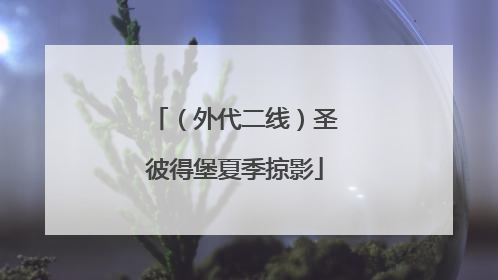 （外代二线）圣彼得堡夏季掠影
