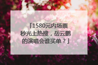 1580元内场票秒光上热搜，岳云鹏的演唱会谁买单？
