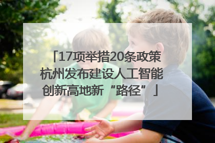 17项举措20条政策 杭州发布建设人工智能创新高地新“路径”
