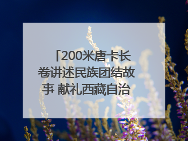 200米唐卡长卷讲述民族团结故事 献礼西藏自治区成立60周年