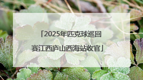 2025年匹克球巡回赛江西庐山西海站收官