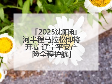 2025沈阳和河半程马拉松即将开赛 辽宁平安产险全程护航