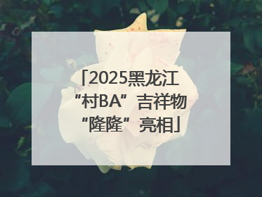 2025黑龙江“村BA”吉祥物“隆隆”亮相
