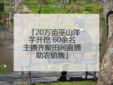 20万亩巫山洋芋开挖 60余名主播齐聚田间直播助农销售