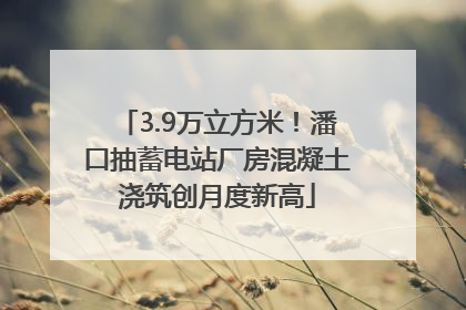 3.9万立方米！潘口抽蓄电站厂房混凝土浇筑创月度新高