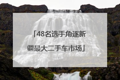 48名选手角逐新疆最大二手车市场