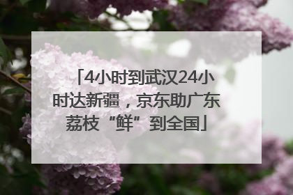 4小时到武汉24小时达新疆，京东助广东荔枝“鲜”到全国