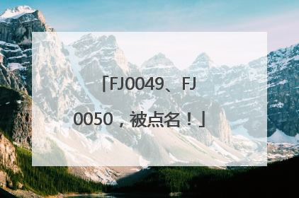 FJ0049、FJ0050，被点名！